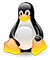 Linux Web Hosting Qatar